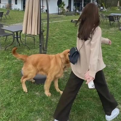 暗潮